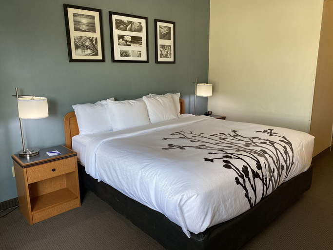 Bedroom 3, Sleep Inn & Suites Davenport - Quad Cities, Scott