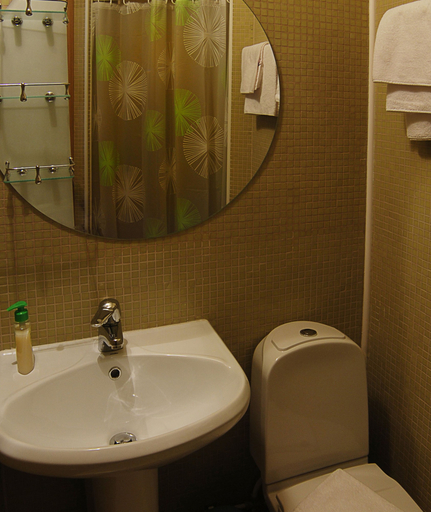 Bathroom 3, Dom Dostoevskogo, Sankt-Peterburg gorsovet