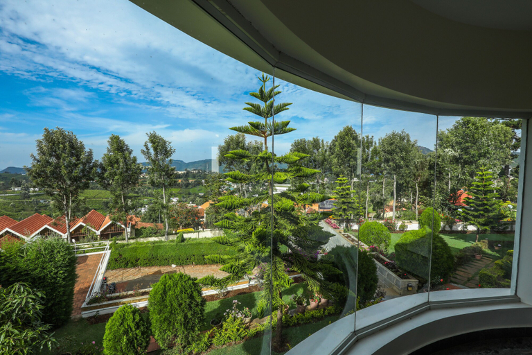 Others 5, Twin Tree, The Nilgiris