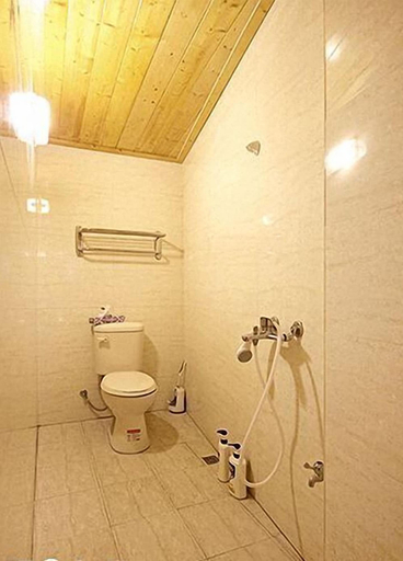 Bathroom 3, Dongguang Zhixing Homestay, Nantou