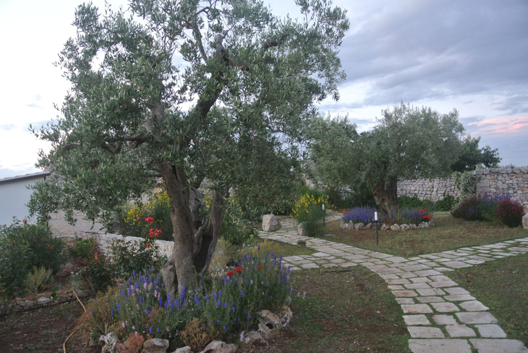 Others 5, Trulli Paparale, Bari