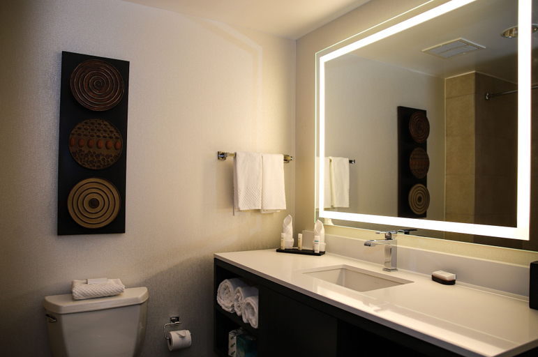Bathroom 4, Embassy Suites by Hilton Houston Energy Corridor, Houston
