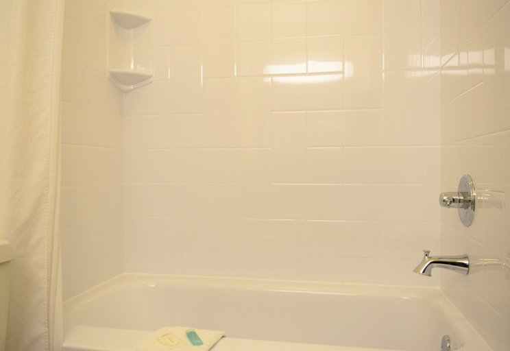 Bathroom 4, LeConte Hotel & Convention Center, an Ascend Collection Hotel, Sevier