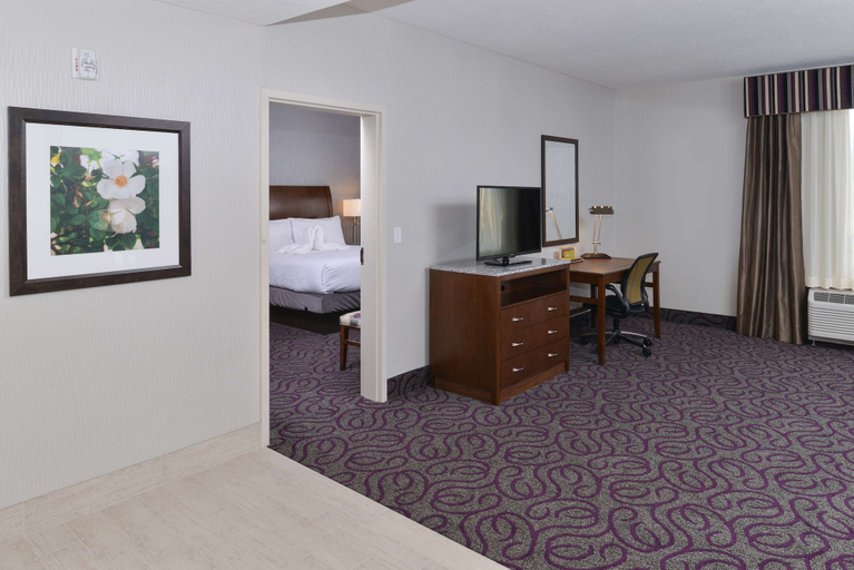 Bedroom 4, Hilton Garden Inn Hobbs, Lea
