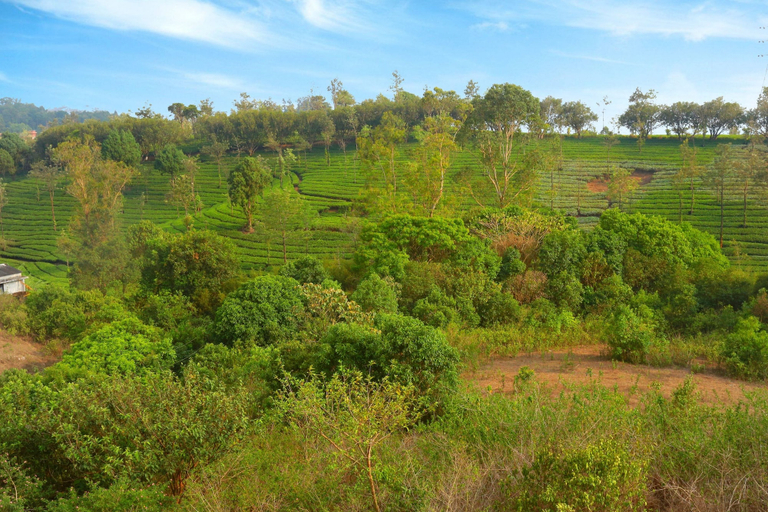 Others 5, Dream Land Hill Residency, Idukki