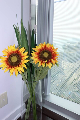 Others 5, Aaira Suites 35, Toronto
