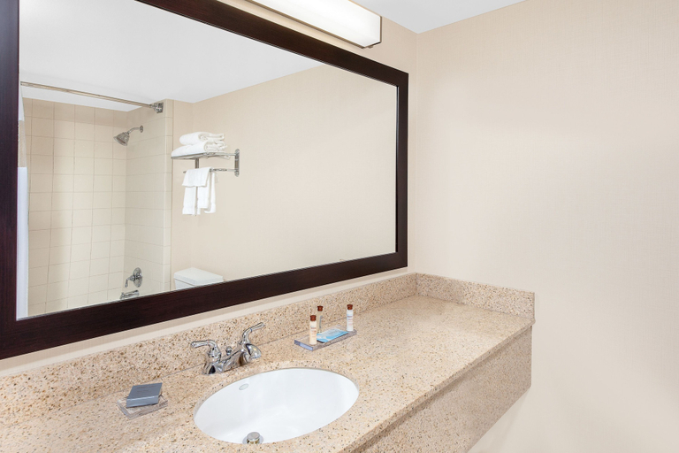 Bathroom 4, Wingate by Wyndham - Sylvania/Toledo, Lucas