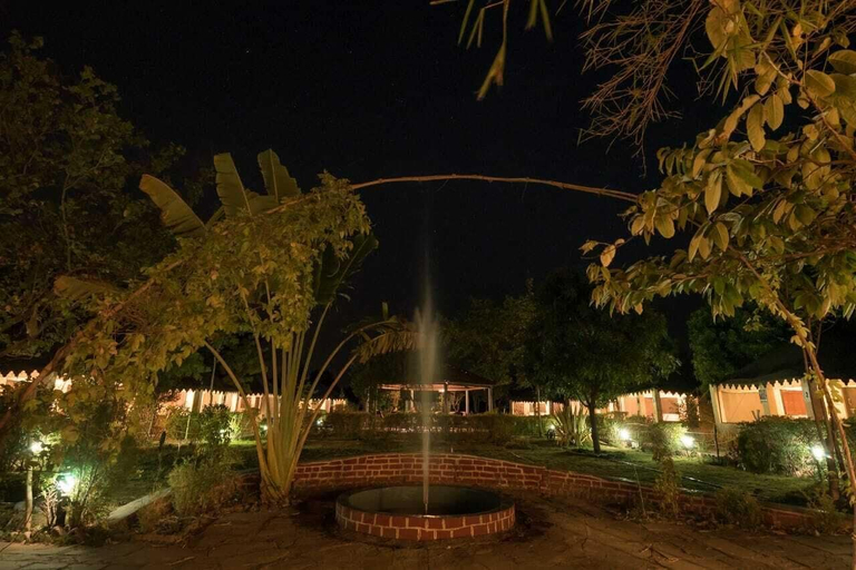 Others 5, Camp Serai Tiger Tadoba, Chandrapur