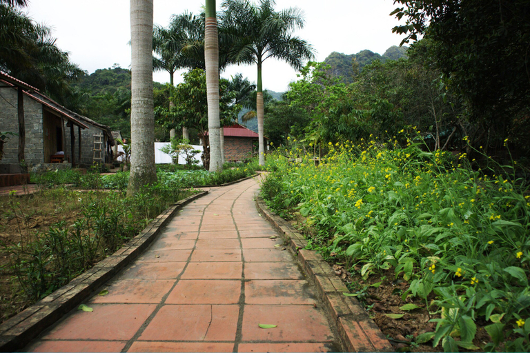 Others 3, Long Phuong Homestay, Cát Hải