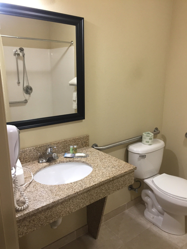 Bathroom 4, Cobblestone Inn & Suites - Bloomfield, Davis