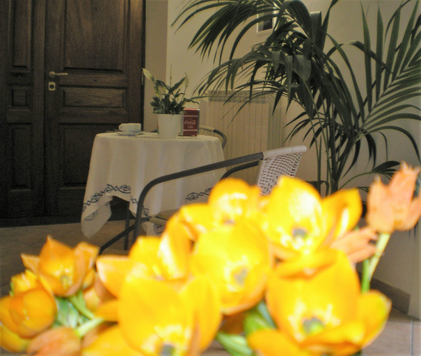 Food & Drinks 5, Itaca B&B, Napoli
