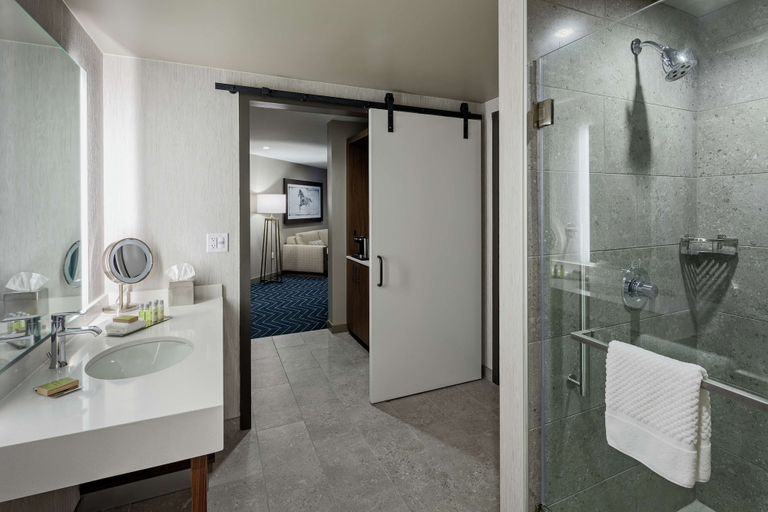 Bathroom 4, The Bevy Hotel Boerne, a DoubleTree by Hilton, Kendall