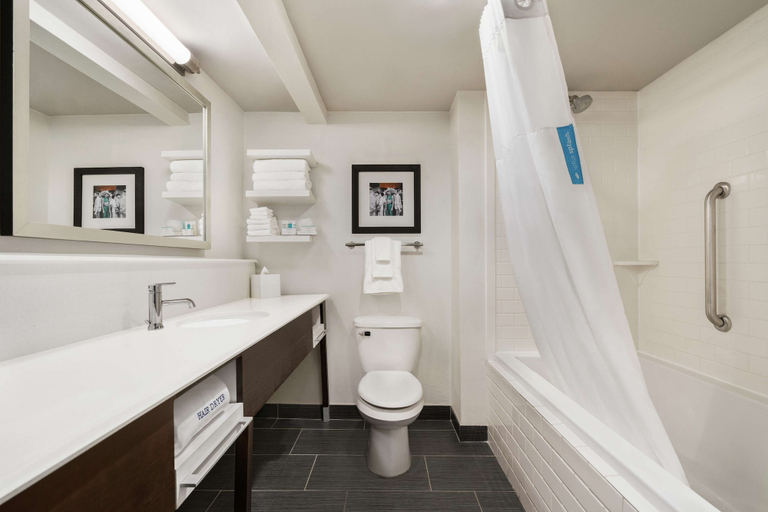 Bathroom 4, Hampton Inn New Orleans-St. Charles Ave./Garden District, Orleans