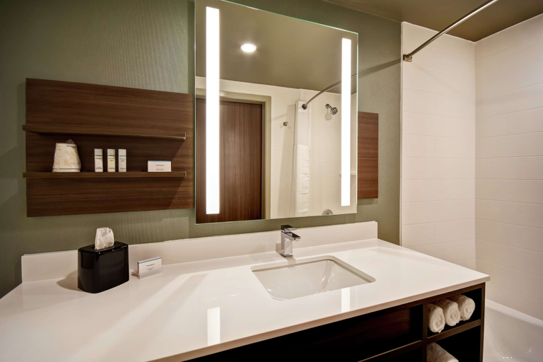 Bathroom 4, Hilton Garden Inn Lansing West, Eaton