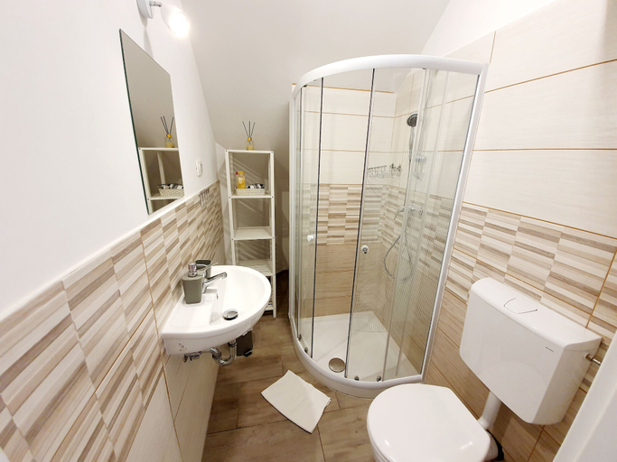 Bathroom 5, Vila Teslova, Ljubljana