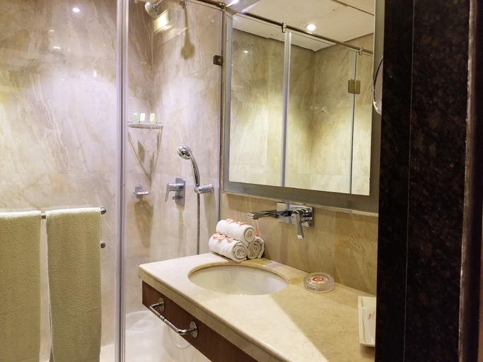 Bathroom 4, The Samilton, Kolkata