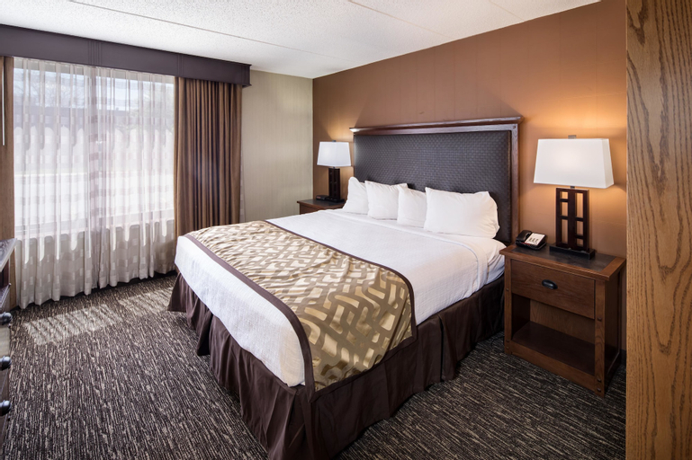 Bedroom 3, Best Western Ramkota Hotel, Pennington