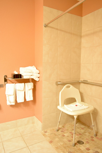 Bathroom 4, Baymont by Wyndham Holland, Ottawa
