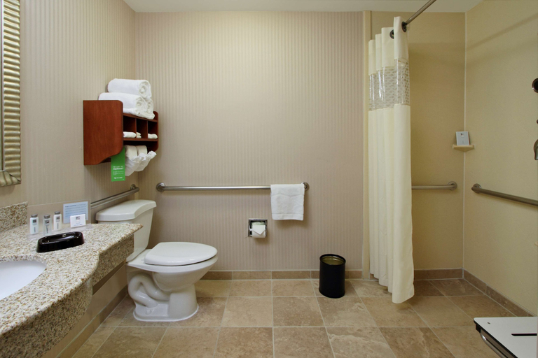 Bathroom 4, Hampton Inn Austin/Airport Area South, Travis