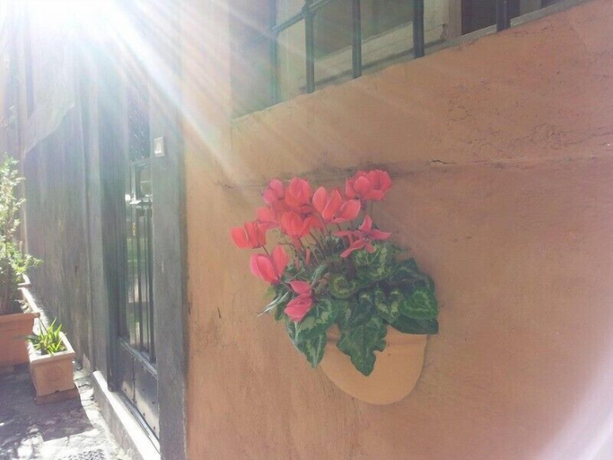 Others 5, Hotel Domus Tiberina, Roma