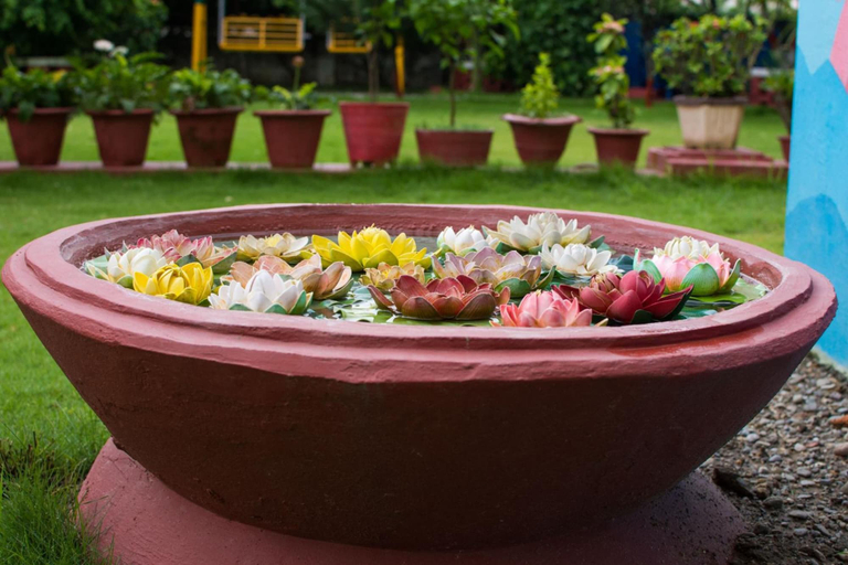 Food & Drinks 5, Galaxy Guest House, Lumbini