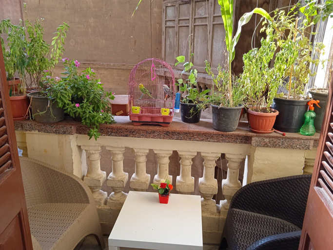 Others 5, New Hostgram Hotel, Qasr an-Nil