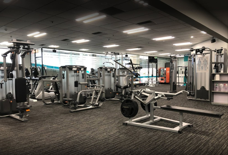 Others 5, Quest on Queen, Waitakere