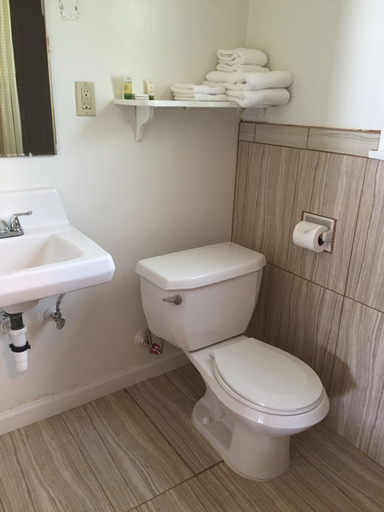 Bathroom 5, Townhouse Motel, Inyo