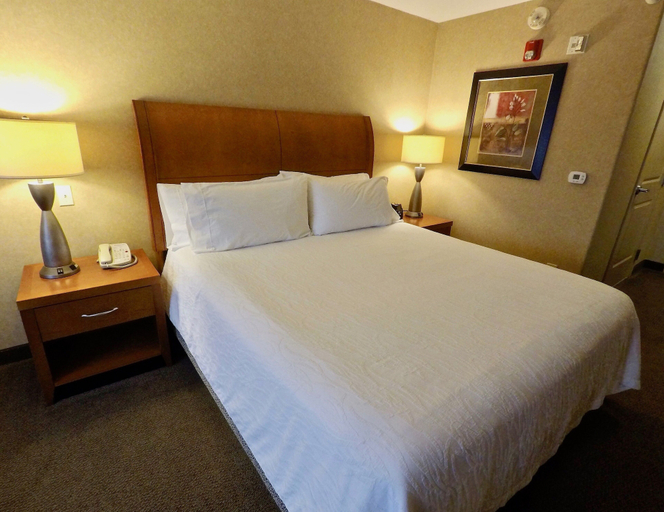 Bedroom 3, Hilton Garden Inn Des Moines West, Dallas