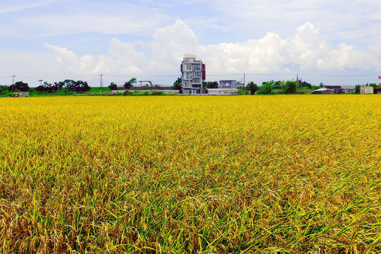 Others 1, Wudai Homestay, Yilan