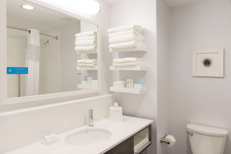 Bathroom 4, Hampton Inn & Suites Chicago Schaumburg, Cook