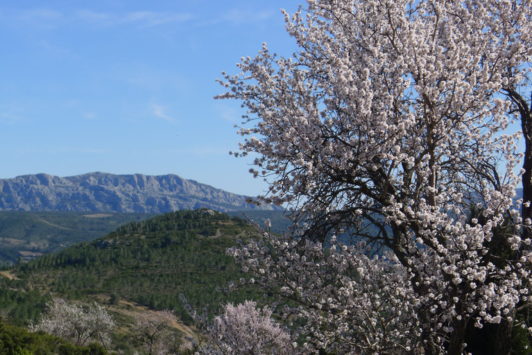 Others 4, Yourte Nature Saint Roch, Aude