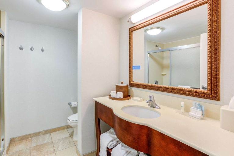 Bathroom 4, Hampton Inn & Suites Westford-Chelmsford, Middlesex