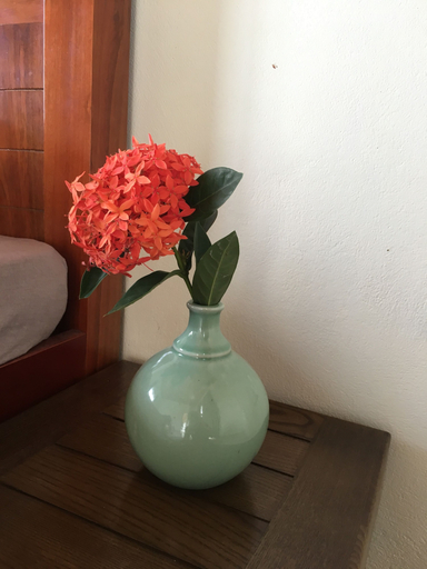 Others 5, Lotus House, Kiến Thụy