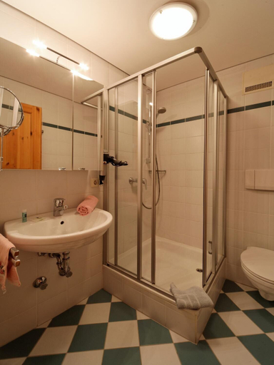 Bathroom, Ferienhaus Mitterdorf, Freyung-Grafenau