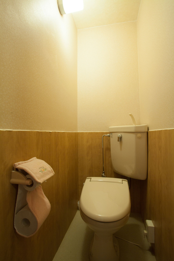 Bathroom 2, Gero Onsen Okudaya Happoen, Gero