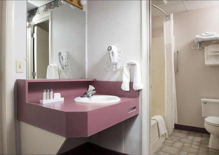 Bathroom 5, Bird in Hand Family Inn, Lancaster