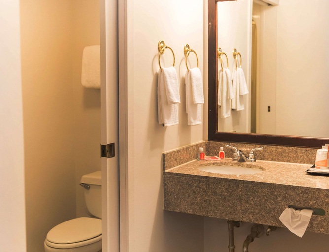 Bathroom 4, Econo Lodge Harrisburg - Hershey North, Dauphin