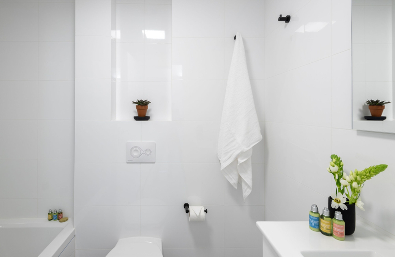 Bathroom 5, master Shenkin