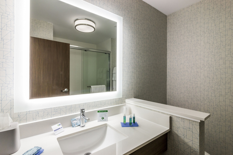 Bathroom 5, Holiday Inn Express VILLA RICA by IHG, Carroll