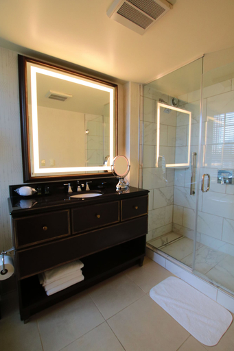 Bathroom 3, Hotel Roanoke & Conference Ctr, Curio Collection by Hilton , Roanoke City
