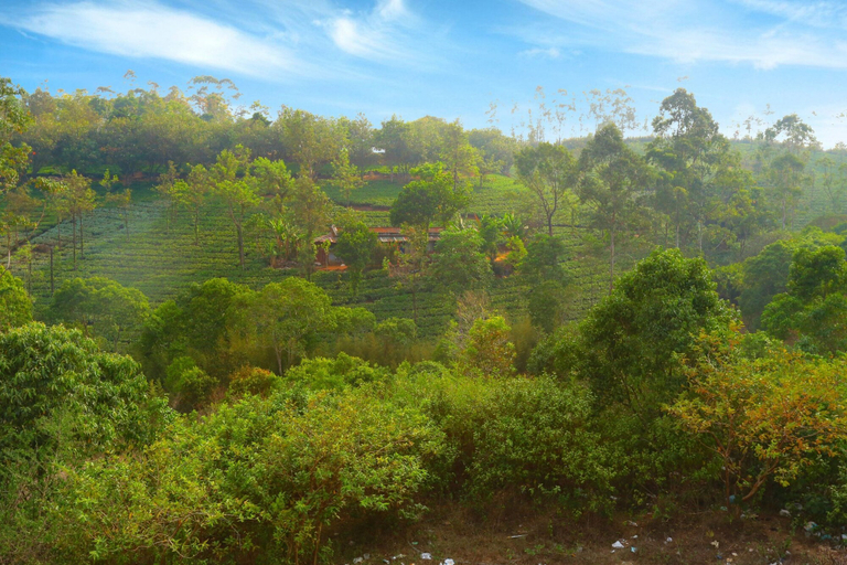 Others 4, Dream Land Hill Residency, Idukki