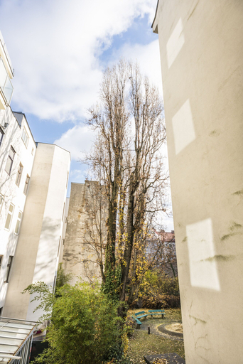 Exterior & Views 2, Appartements Ferchergasse, Wien