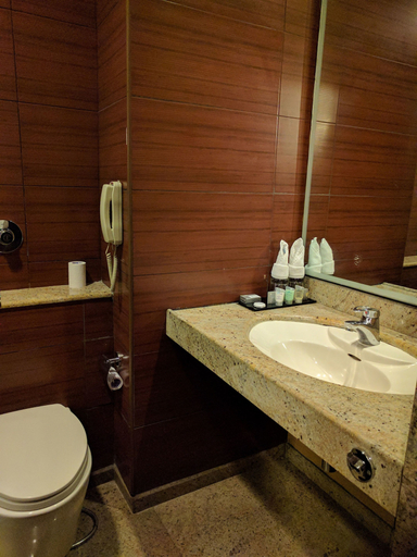 Bathroom 3, BluPetal - A Business Hotel, Bangalore