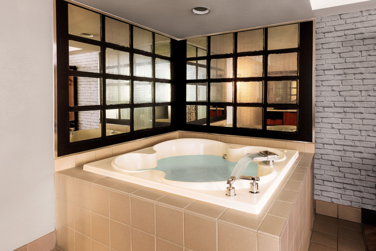 Bathroom 5, New York-New York Hotel & Casino, Clark
