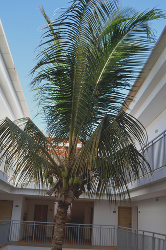 Exterior & Views 2, Hotel Da Luz