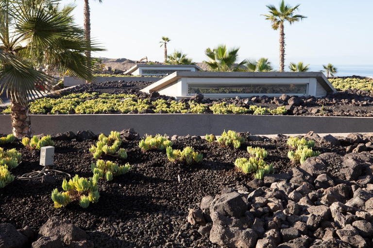 Exterior & Views 2, Los Jardines de Abama Suites & Villas, Santa Cruz de Tenerife