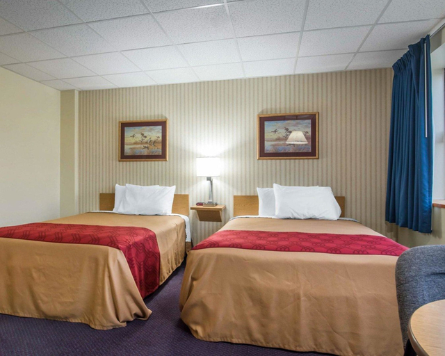 Bedroom 3, Econo Lodge Manchester, Hillsborough