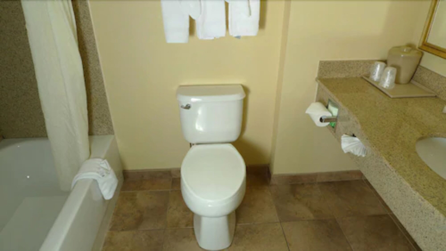 Bathroom 4, Comfort Inn & Suites Jupiter I-95, Palm Beach