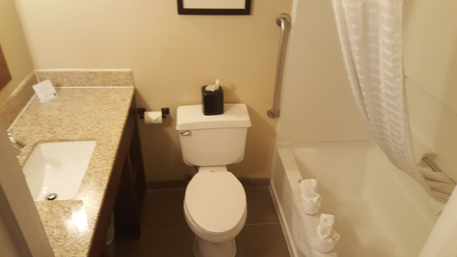 Bathroom 4, Comfort Inn Idaho Falls I-15, Bonneville